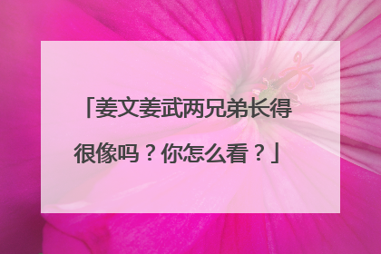 姜文姜武两兄弟长得很像吗？你怎么看？