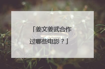 姜文姜武合作过哪些电影?
