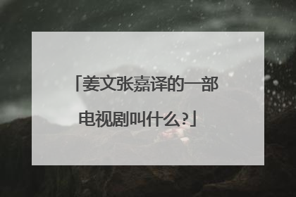 姜文张嘉译的一部电视剧叫什么?