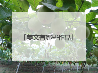 姜文有哪些作品