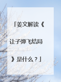 姜文解读《让子弹飞结局》是什么？