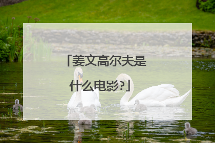 姜文高尔夫是什么电影?