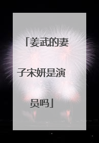 姜武的妻子宋妍是演员吗