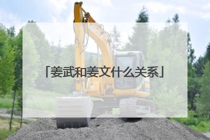 姜武和姜文什么关系