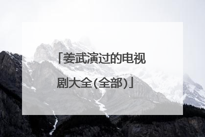 姜武演过的电视剧大全(全部)