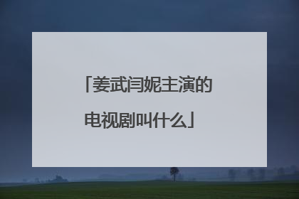 姜武闫妮主演的电视剧叫什么
