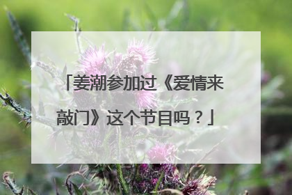姜潮参加过《爱情来敲门》这个节目吗？
