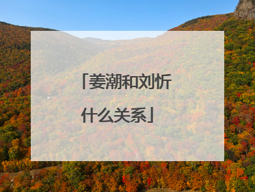 姜潮和刘忻什么关系