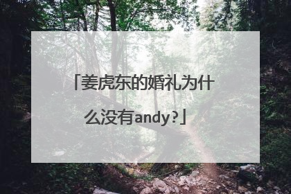 姜虎东的婚礼为什么没有andy?