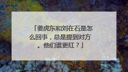 姜虎东和刘在石是怎么回事,总是提到对方。他们谁更红?