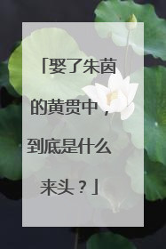 娶了朱茵的黄贯中,到底是什么来头?