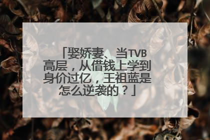 娶娇妻、当TVB高层，从借钱上学到身价过亿，王祖蓝是怎么逆袭的？