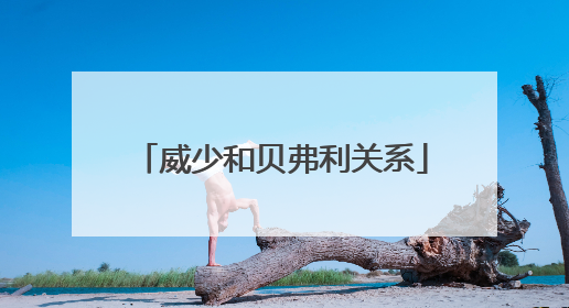 威少和贝弗利关系