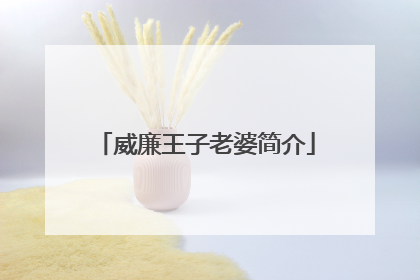 威廉王子老婆简介