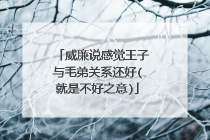 威廉说感觉王子与毛弟关系还好(就是不好之意)