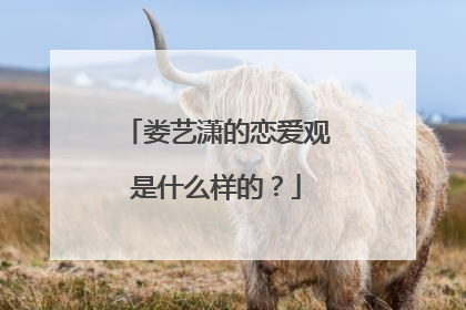 娄艺潇的恋爱观是什么样的？
