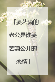 娄艺潇的老公是谁娄艺潇公开的恋情