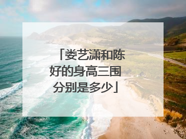 娄艺潇和陈好的身高三围分别是多少