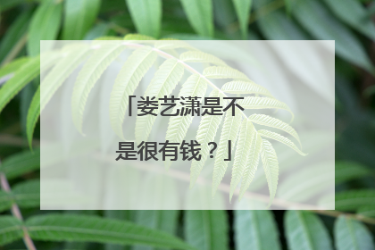 娄艺潇是不是很有钱？