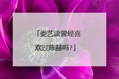 娄艺潇曾经喜欢过陈赫吗?