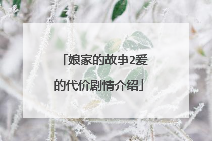 娘家的故事2爱的代价剧情介绍