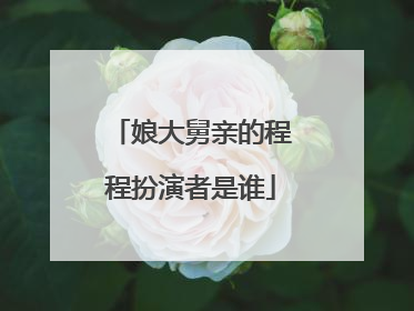 娘大舅亲的程程扮演者是谁