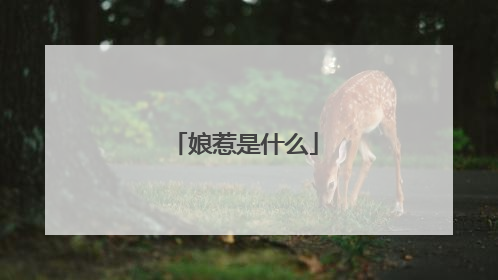 娘惹是什么