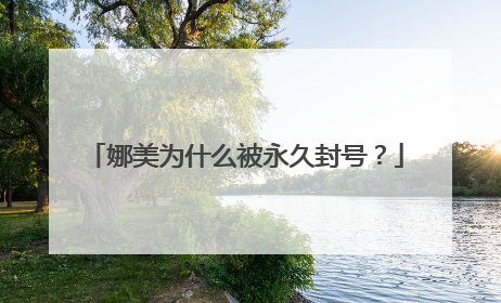 娜美为什么被永久封号?