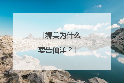 娜美为什么要告仙洋？