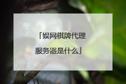 娱网棋牌代理服务器是什么