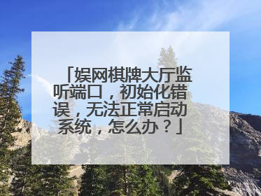 娱网棋牌大厅监听端口，初始化错误，无法正常启动系统，怎么办？