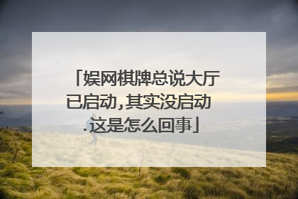娱网棋牌总说大厅已启动,其实没启动.这是怎么回事