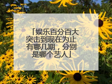 娱乐百分百大突击到现在为止有哪几期，分别是哪个艺人