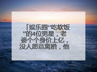 娱乐圈“吃软饭”的4位男星,老婆个个身价上亿,没人愿意离婚,他们是谁?