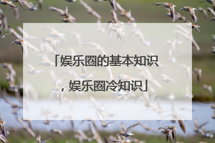 娱乐圈的基本知识，娱乐圈冷知识