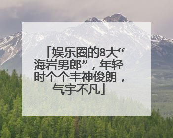 娱乐圈的8大“海岩男郎”,年轻时个个丰神俊朗,气宇不凡