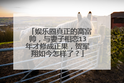 娱乐圈真正的高富帅,与妻子相恋13年才修成正果,贺军翔如今怎样了?