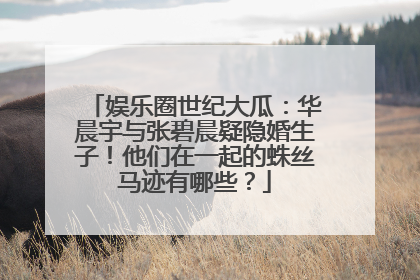娱乐圈世纪大瓜：华晨宇与张碧晨疑隐婚生子！他们在一起的蛛丝马迹有哪些？