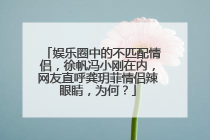 娱乐圈中的不匹配情侣,徐帆冯小刚在内,网友直呼龚玥菲情侣辣眼睛,为何?