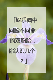 娱乐圈中同脸不同命的双胞胎，你认识几个？