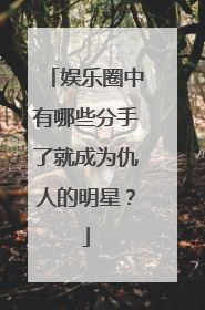 娱乐圈中有哪些分手了就成为仇人的明星？