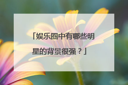 娱乐圈中有哪些明星的背景很强?