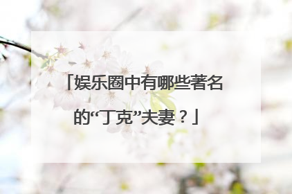 娱乐圈中有哪些著名的“丁克”夫妻？