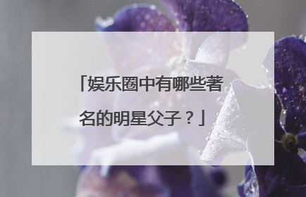 娱乐圈中有哪些著名的明星父子？