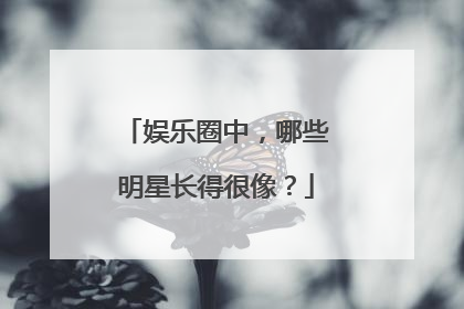 娱乐圈中，哪些明星长得很像？