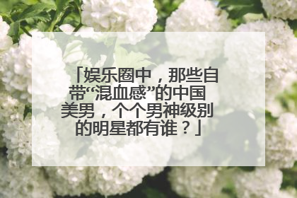 娱乐圈中，那些自带“混血感”的中国美男，个个男神级别的明星都有谁？