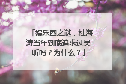 娱乐圈之谜,杜海涛当年到底追求过吴昕吗?为什么?