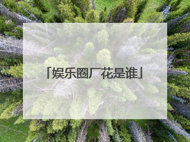 娱乐圈厂花是谁