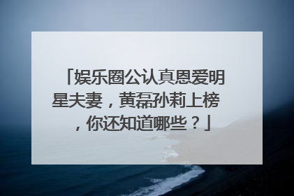 娱乐圈公认真恩爱明星夫妻,黄磊孙莉上榜,你还知道哪些?