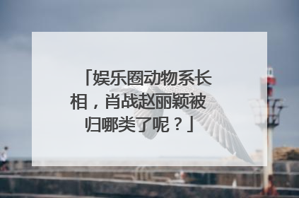 娱乐圈动物系长相,肖战赵丽颖被归哪类了呢?